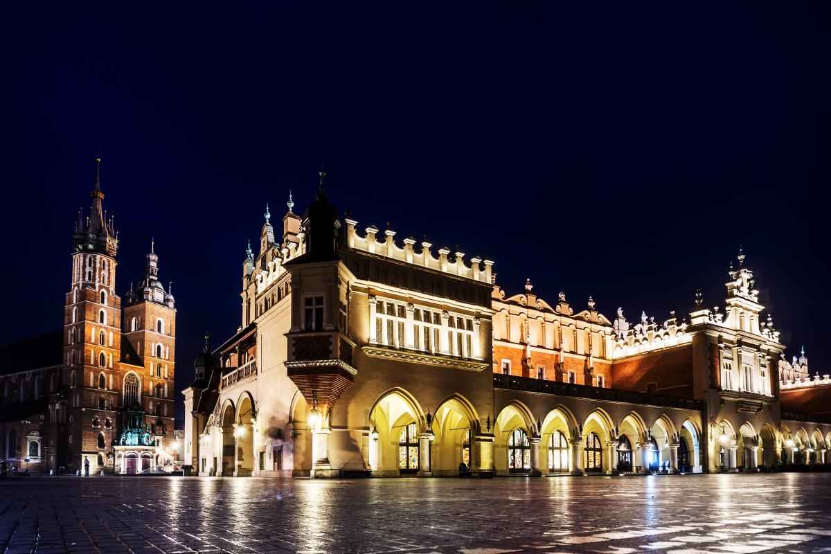 travelgo image