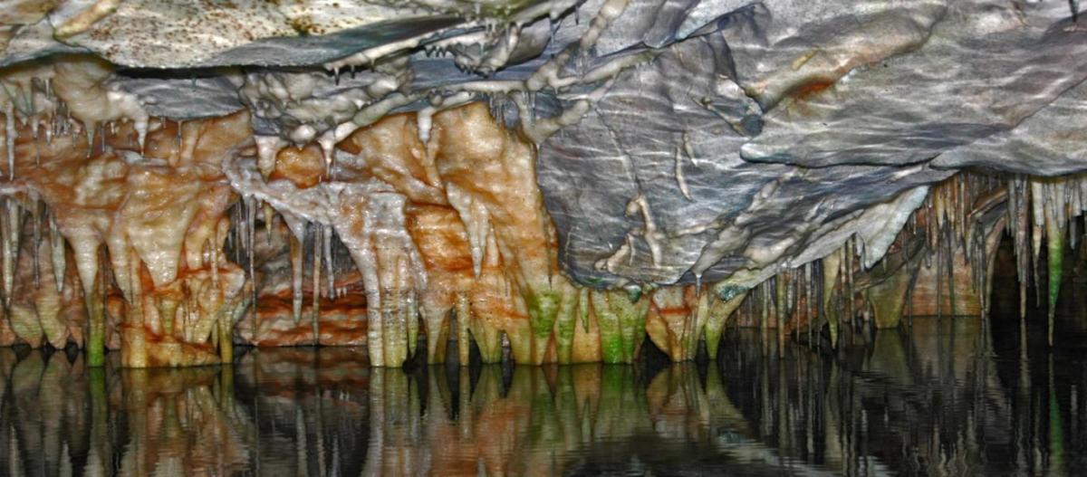 travelgo image