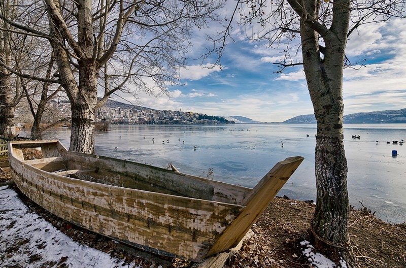 travelgo image