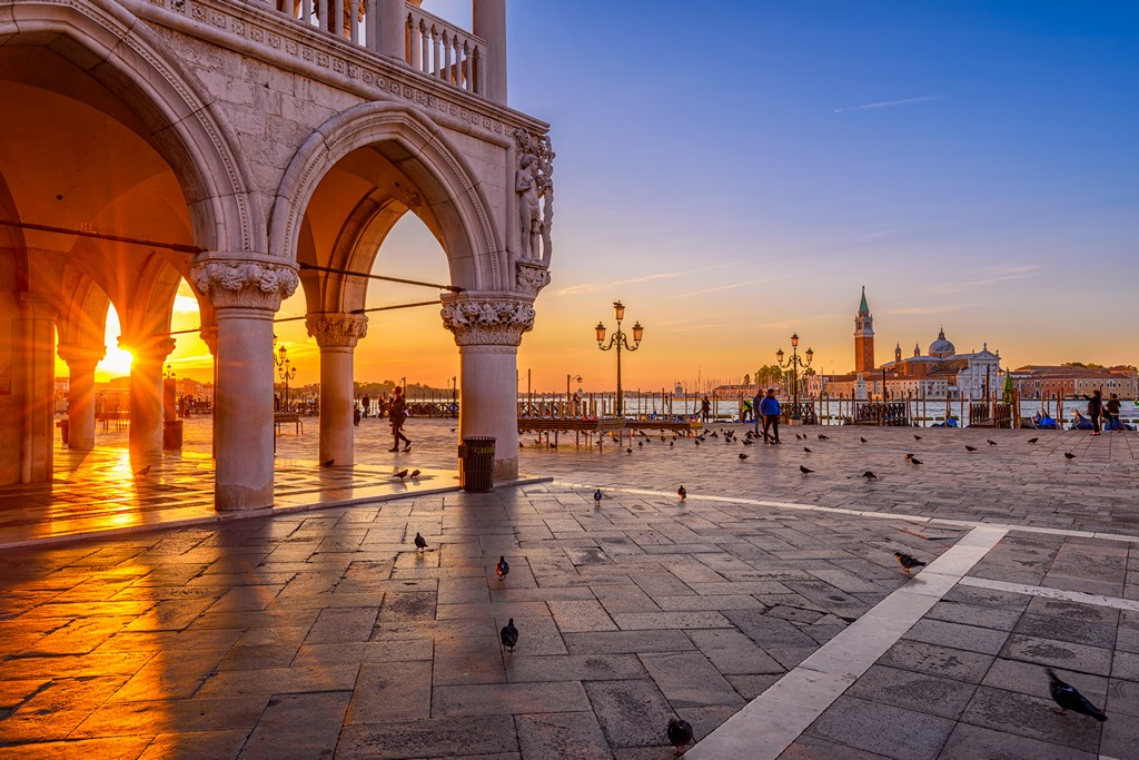travelgo image