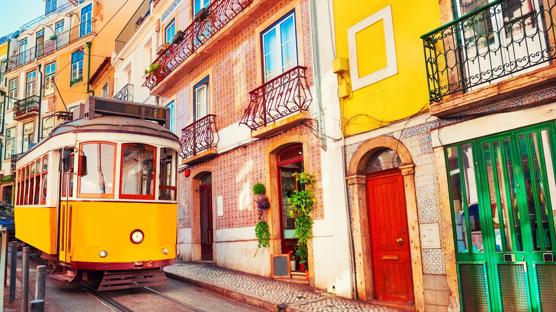 travelgo.gr