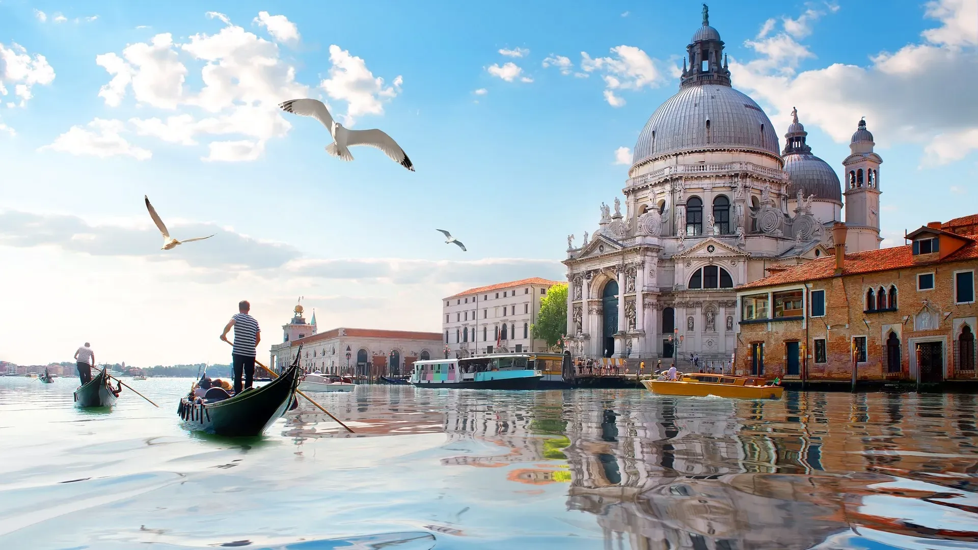 travelgo.gr