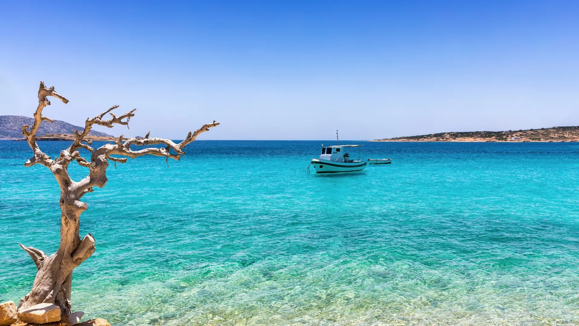 travelgo.gr