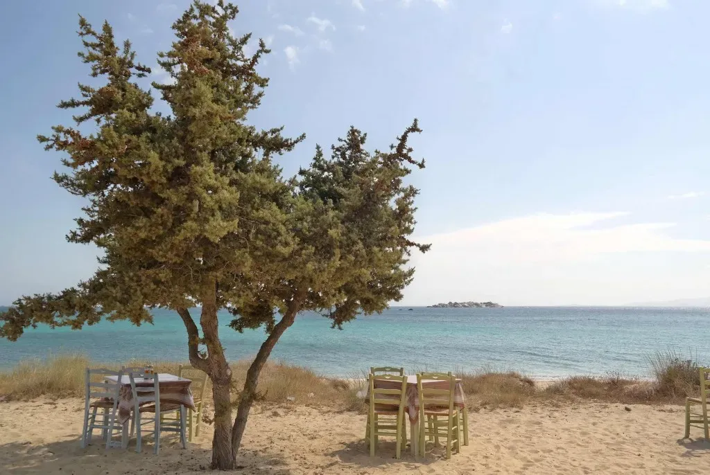 travelgo.gr