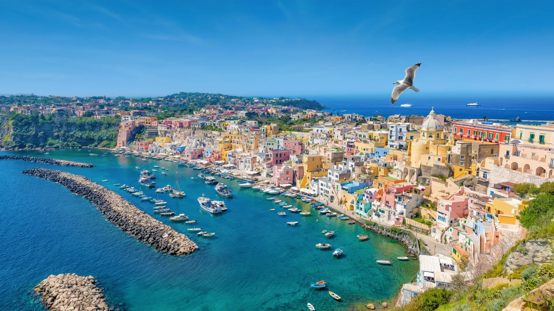 travelgo.gr