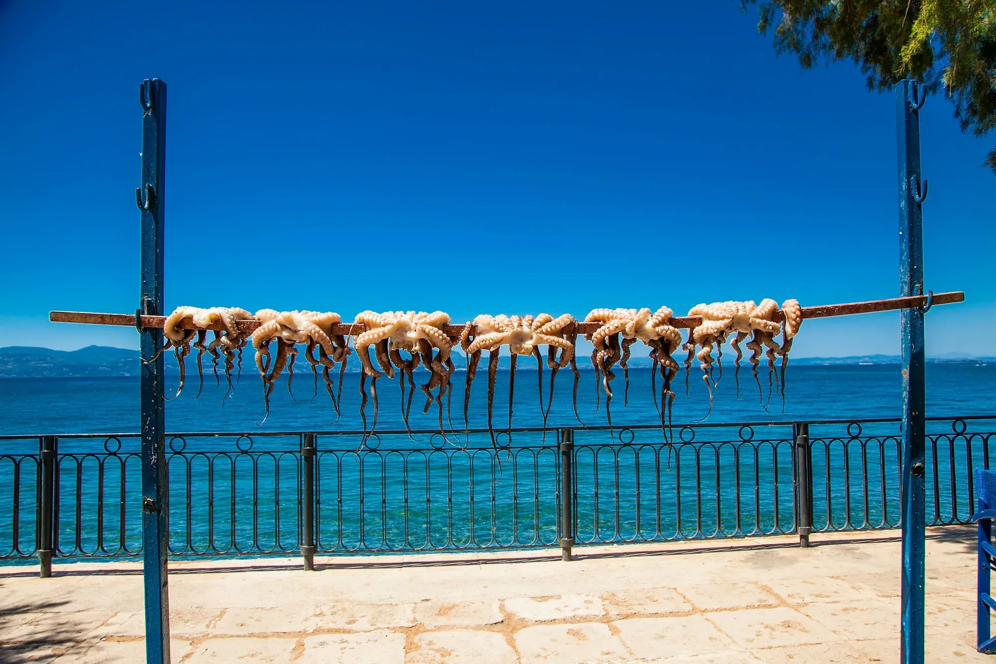 travelgo.gr