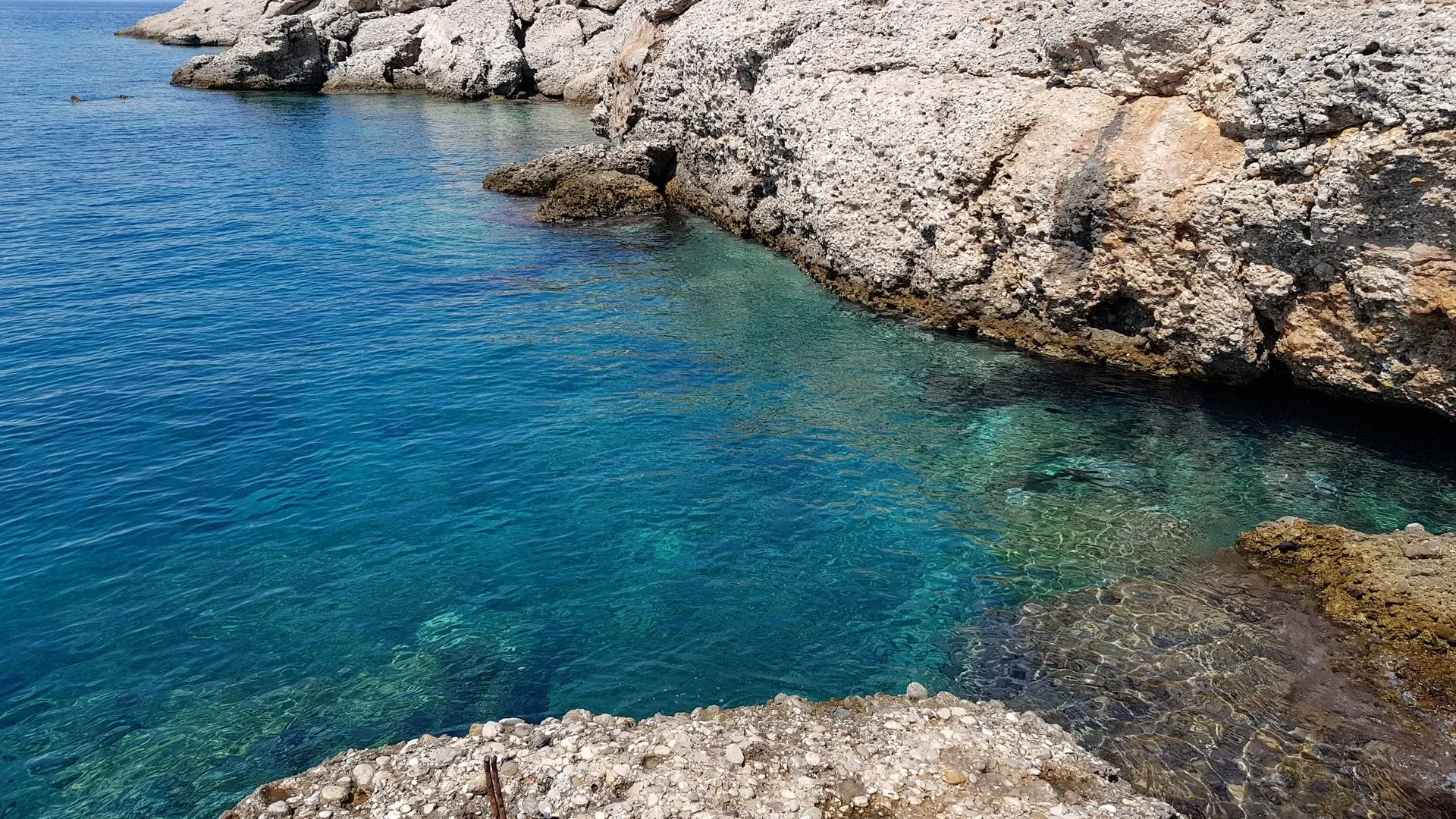 travelgo.gr