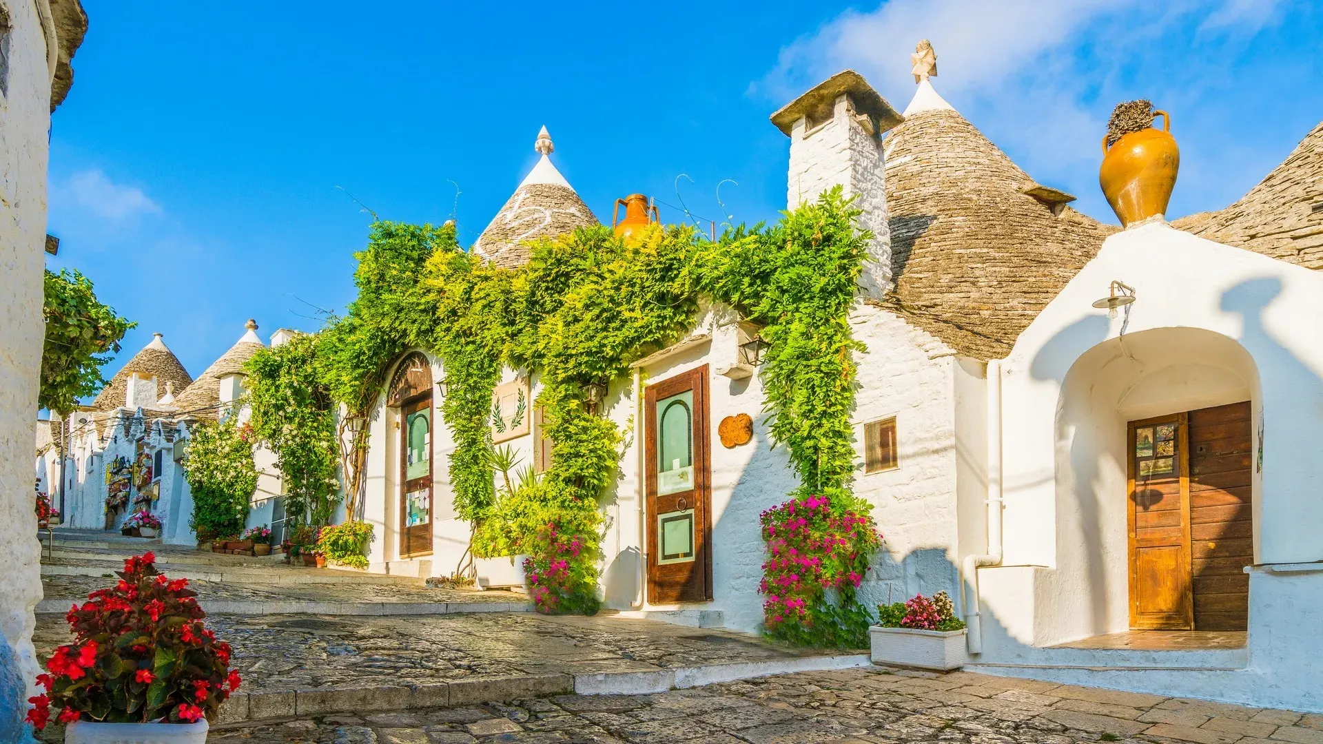 travelgo.gr