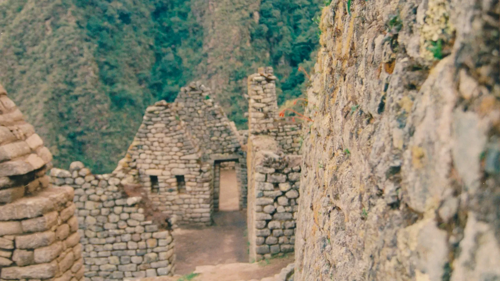 travelgo.gr