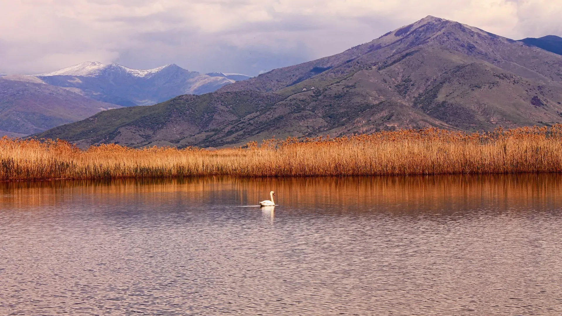 travelgo.gr