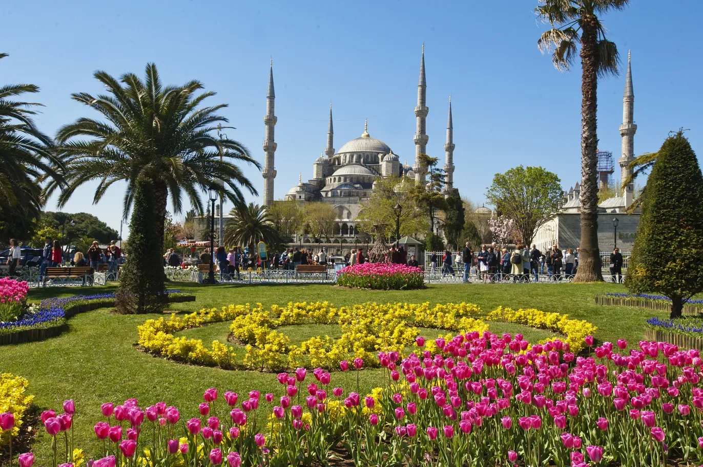 travelgo.gr