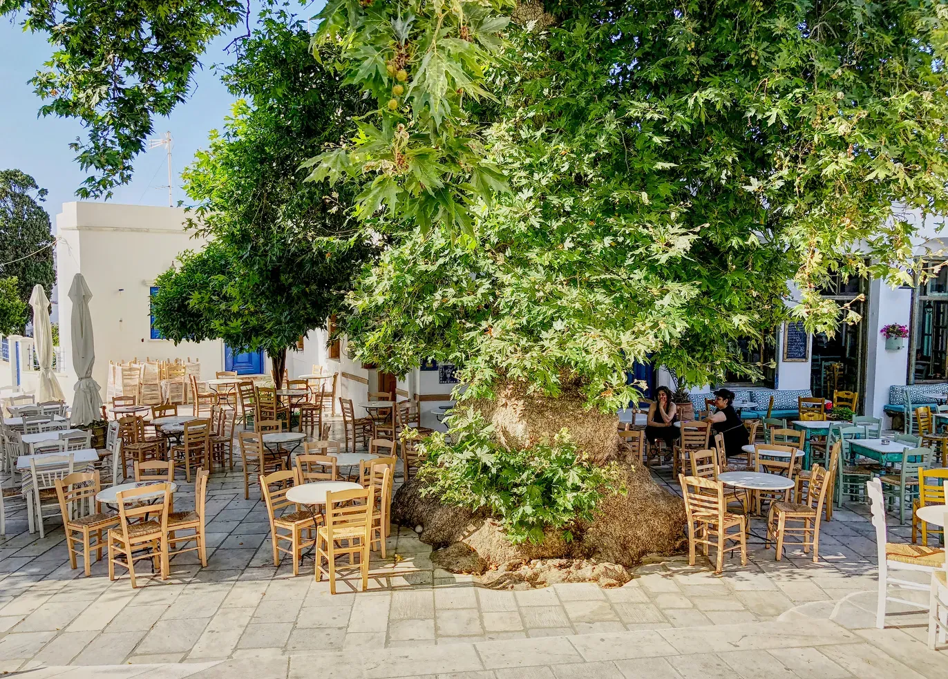 travelgo.gr