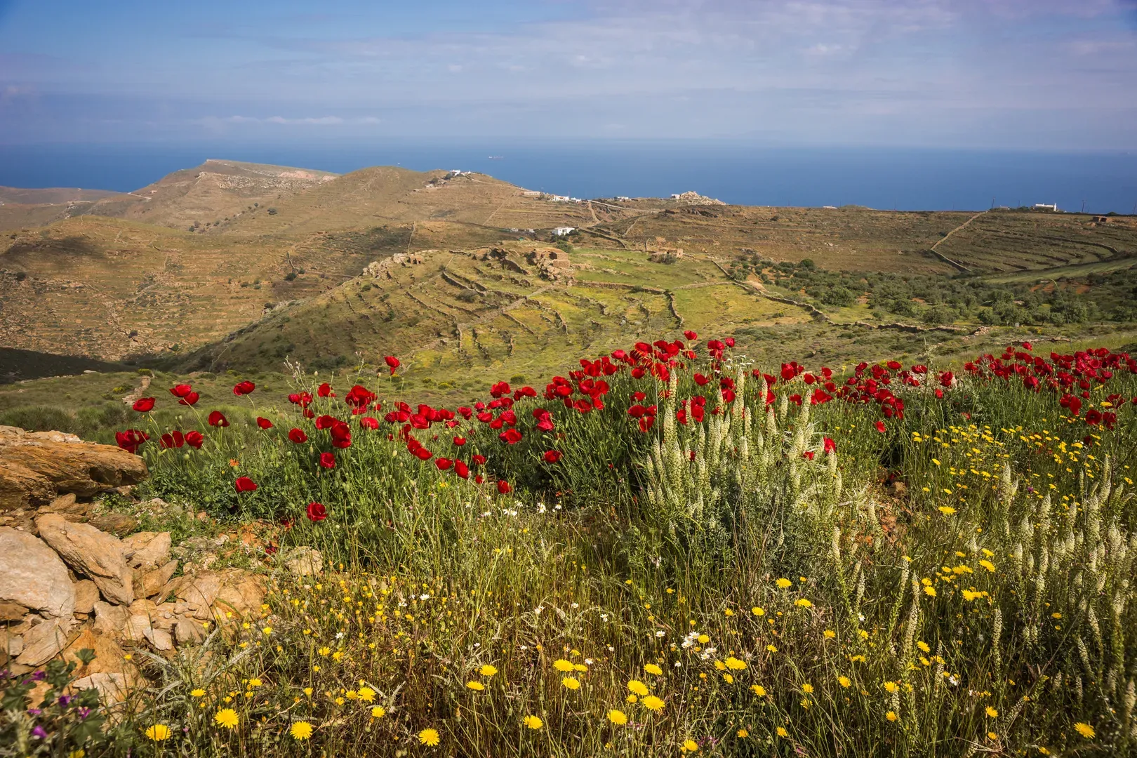 travelgo.gr