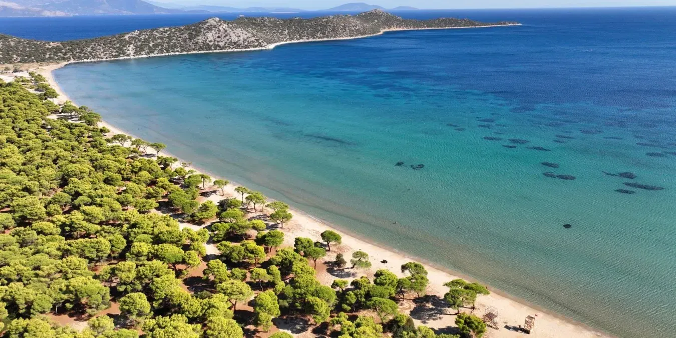 travelgo.gr