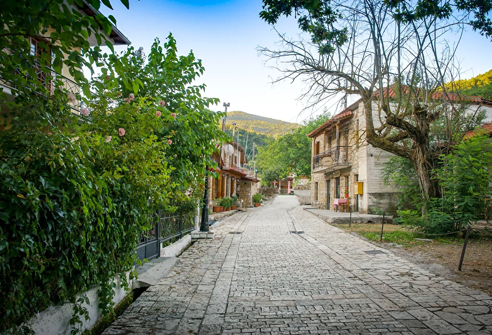 zarouxla