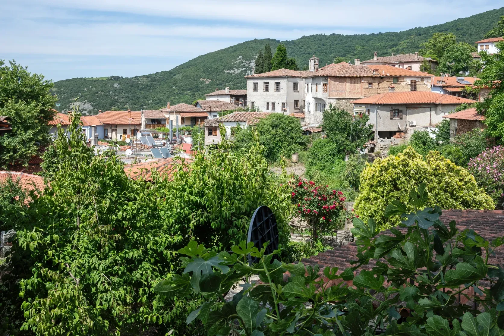 Ampelakia