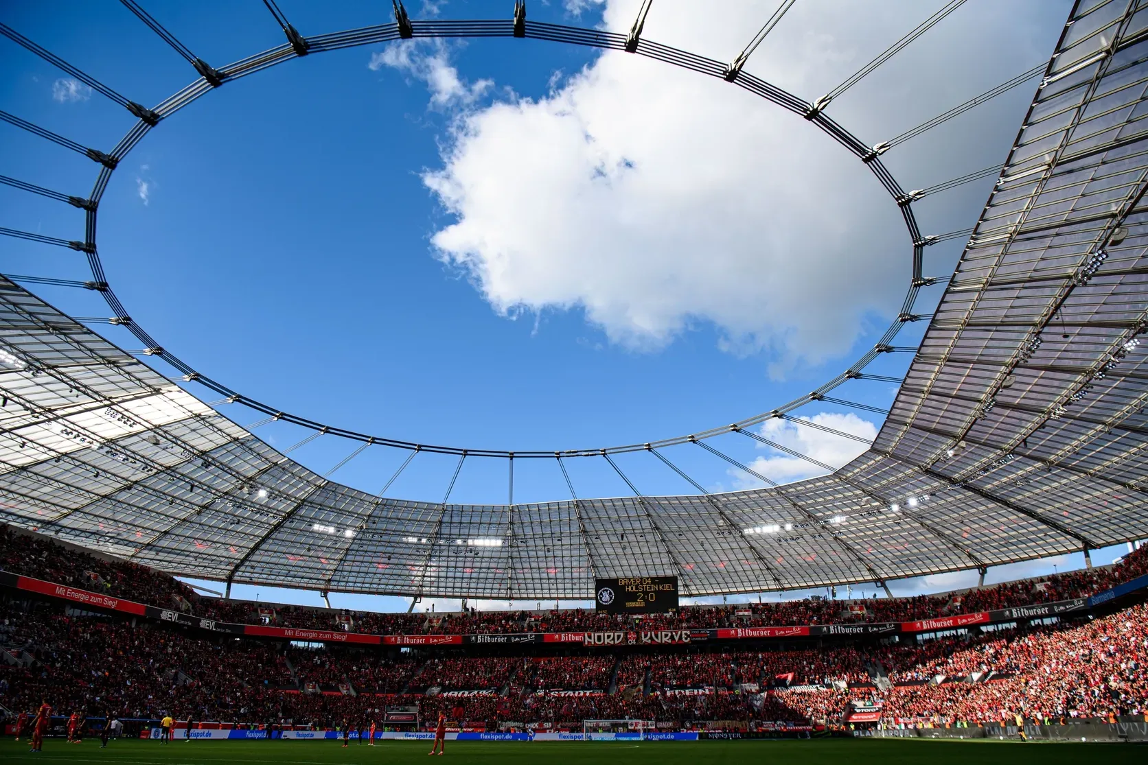 Bayarena