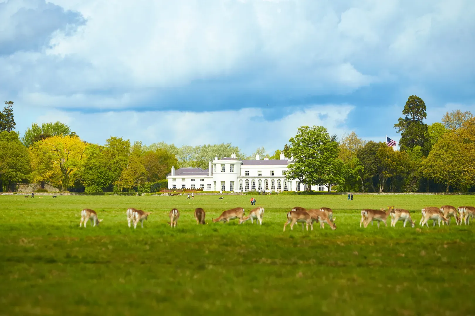 Phoenix Park