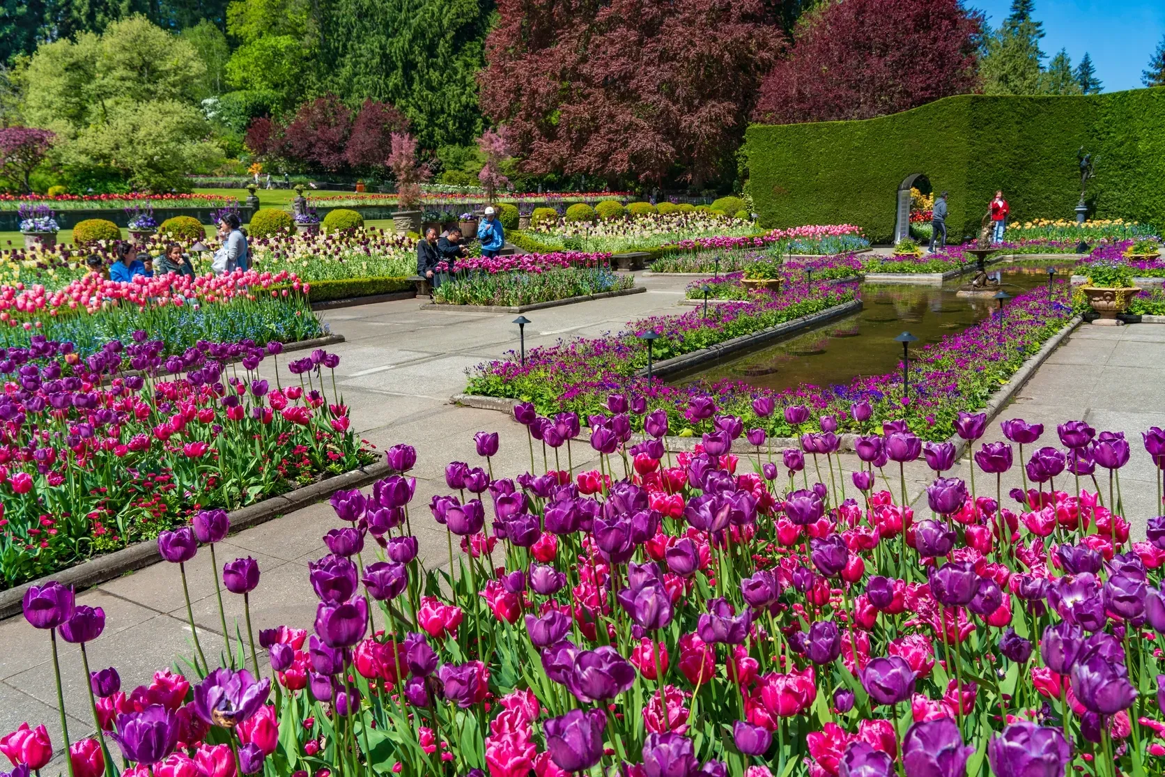 Butchart_Gardens