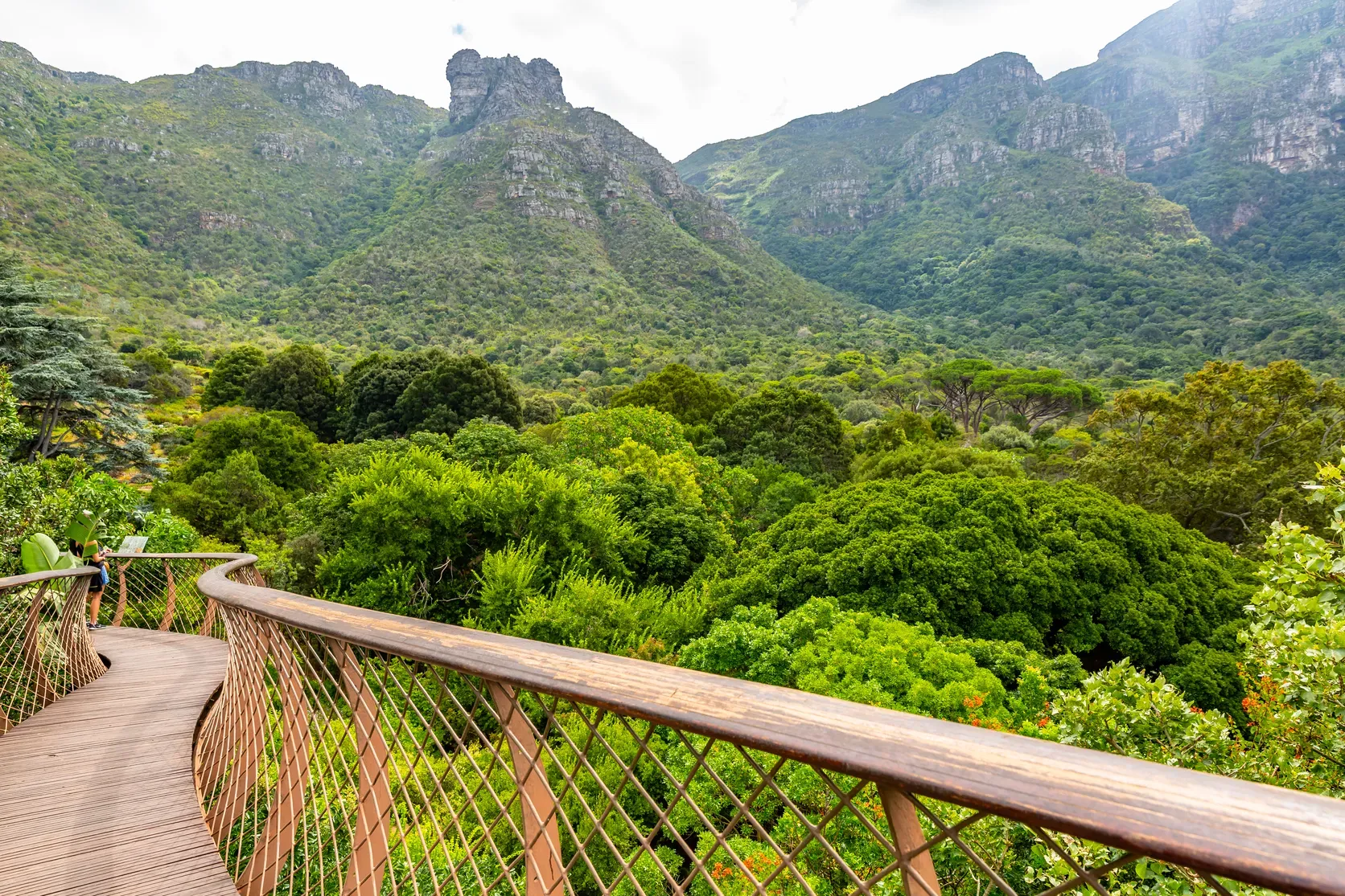Kirstenbosch
