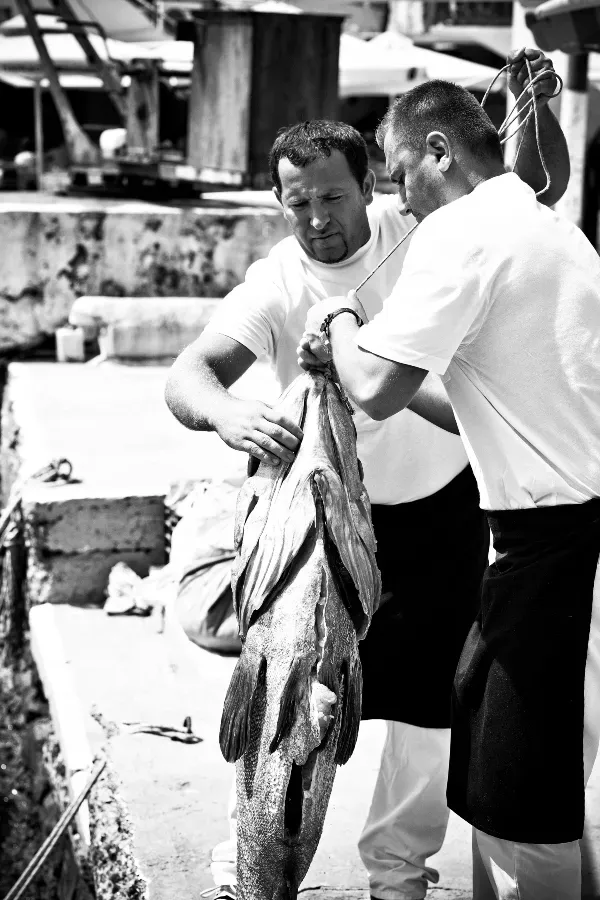 travelgo.gr