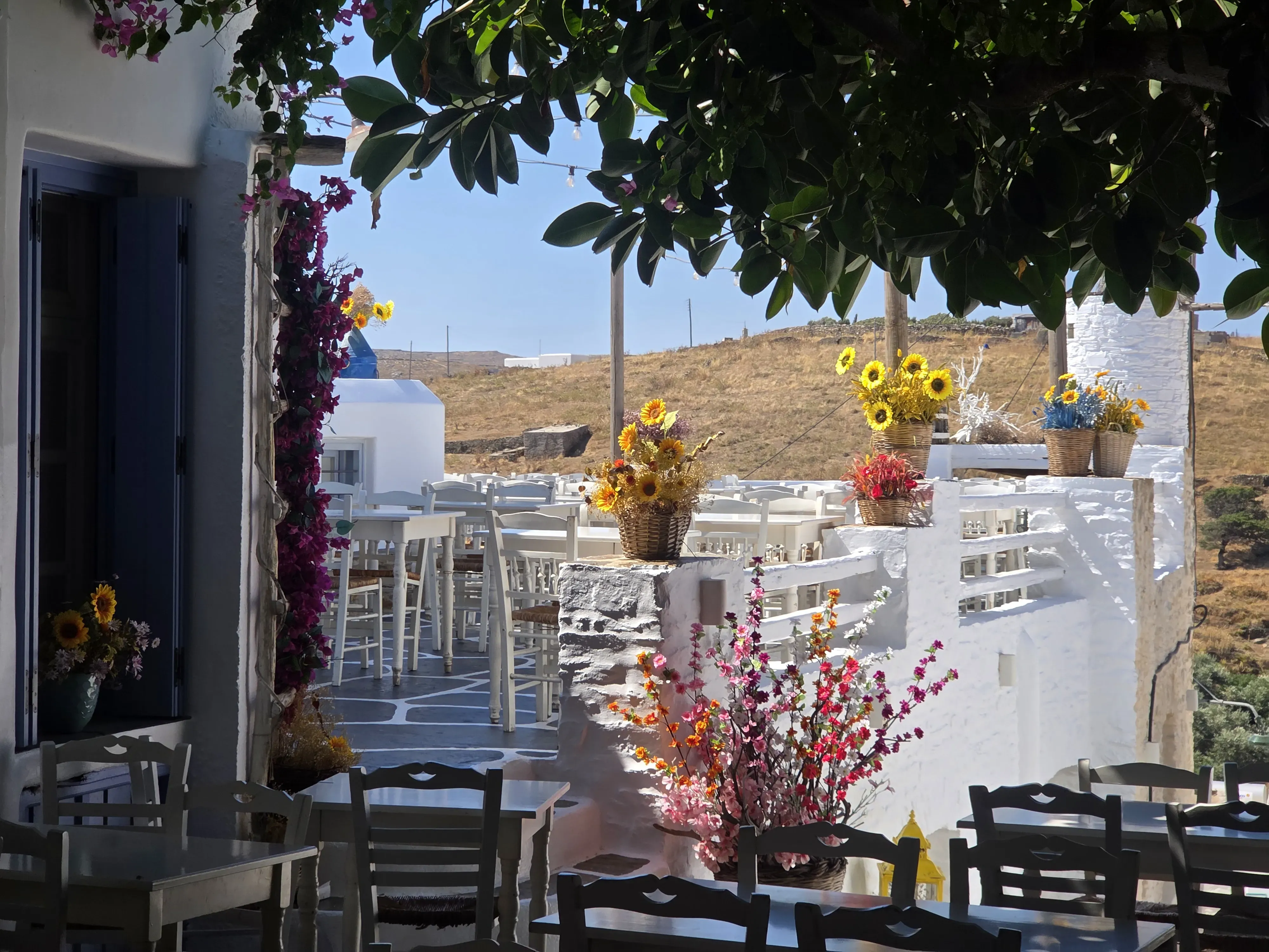travelgo.gr
