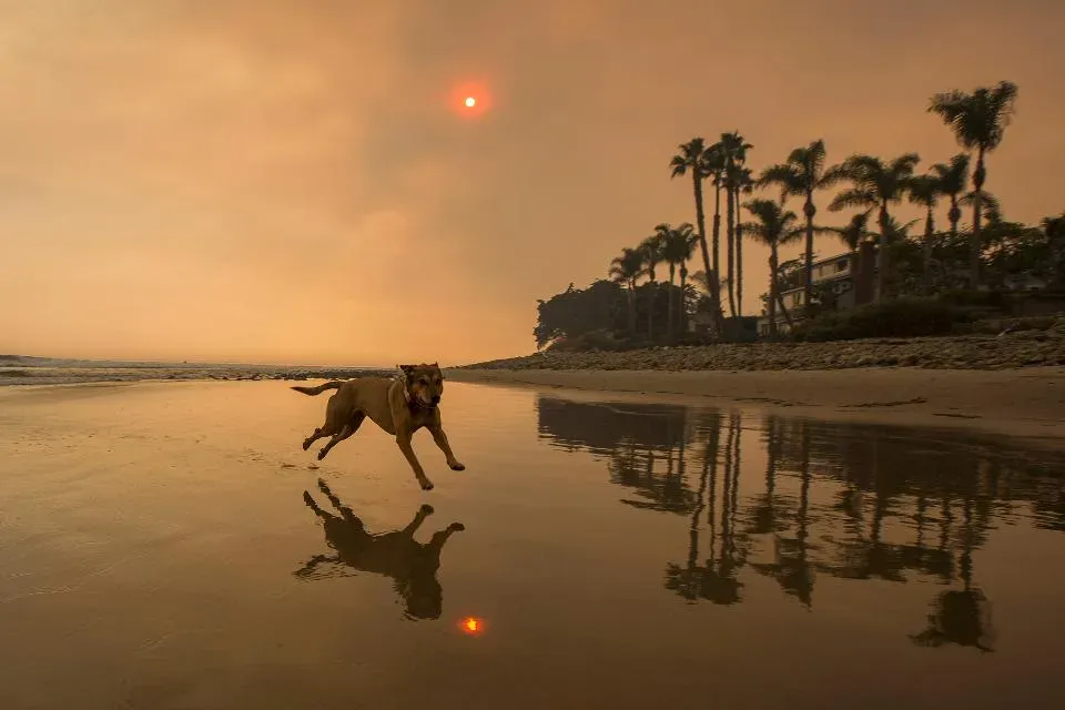 Rosewood Miramar Beach Montecito, Σάντα Μπάρμπαρα