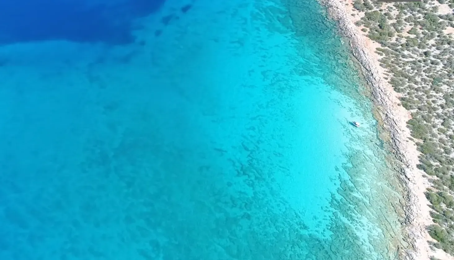 travelgo.gr