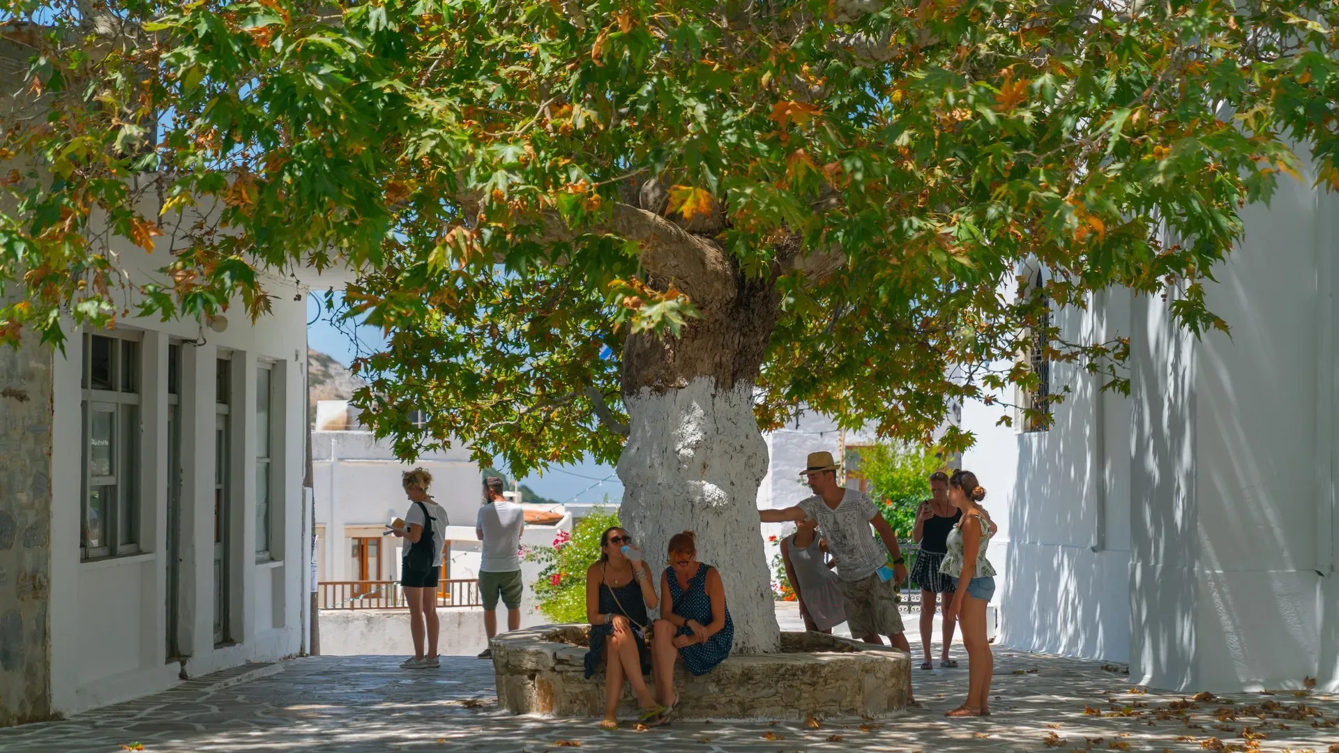 travelgo.gr