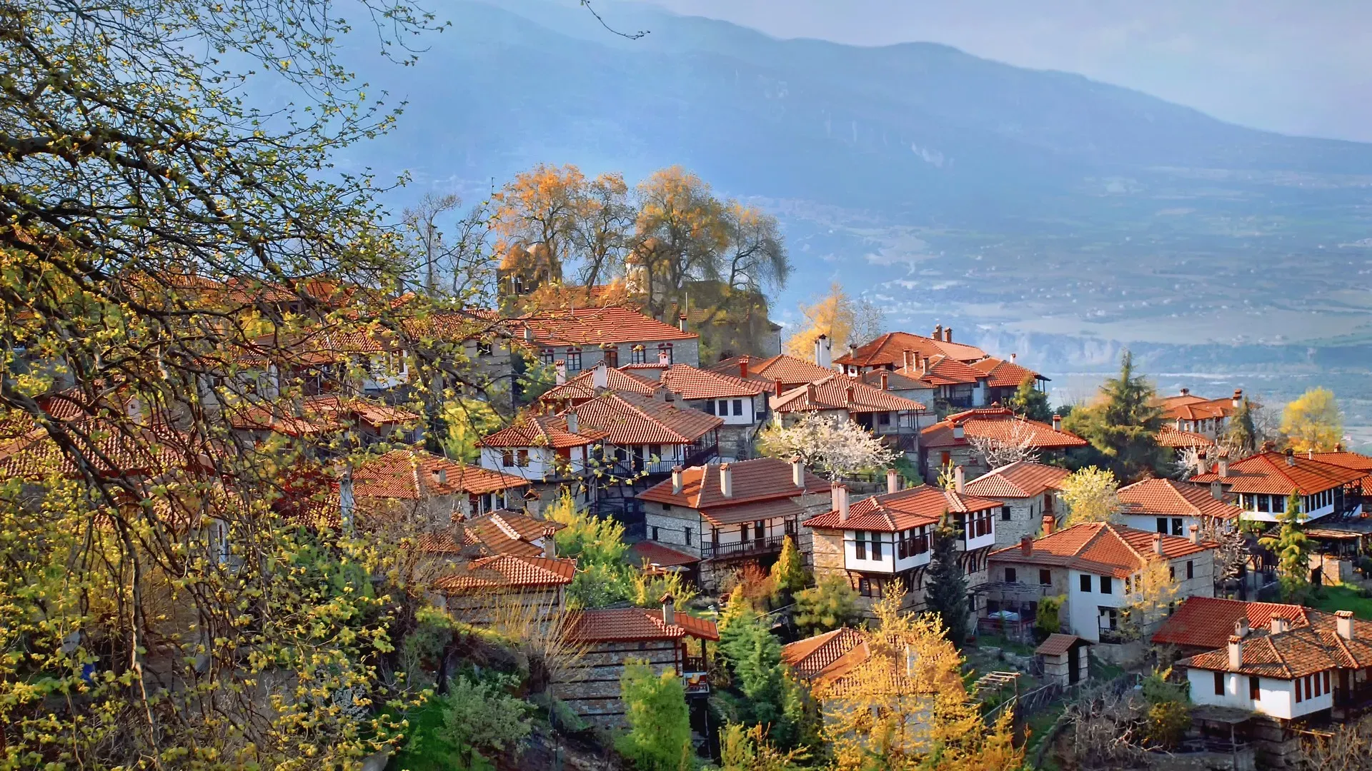 travelgo.gr