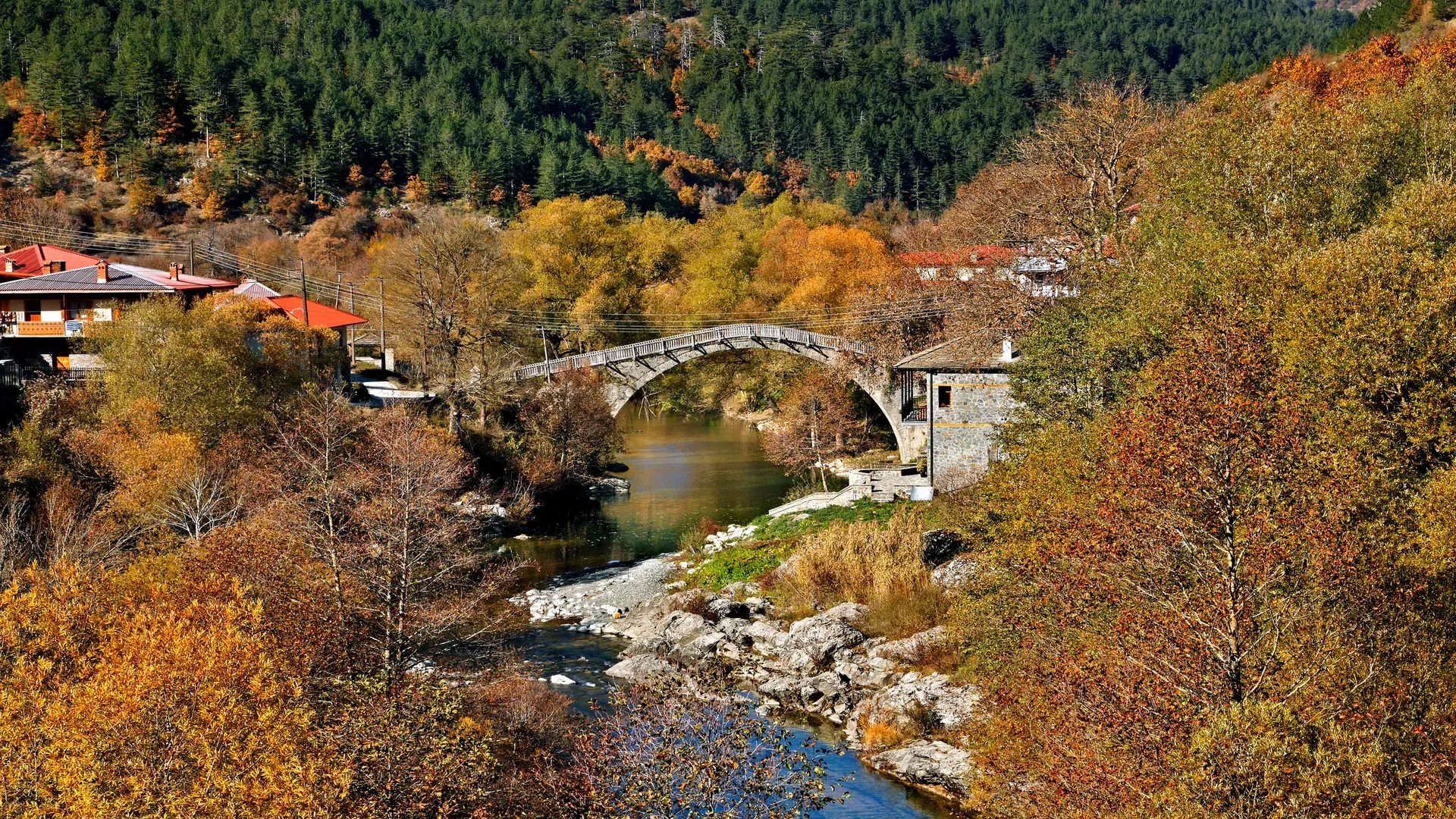 travelgo.gr
