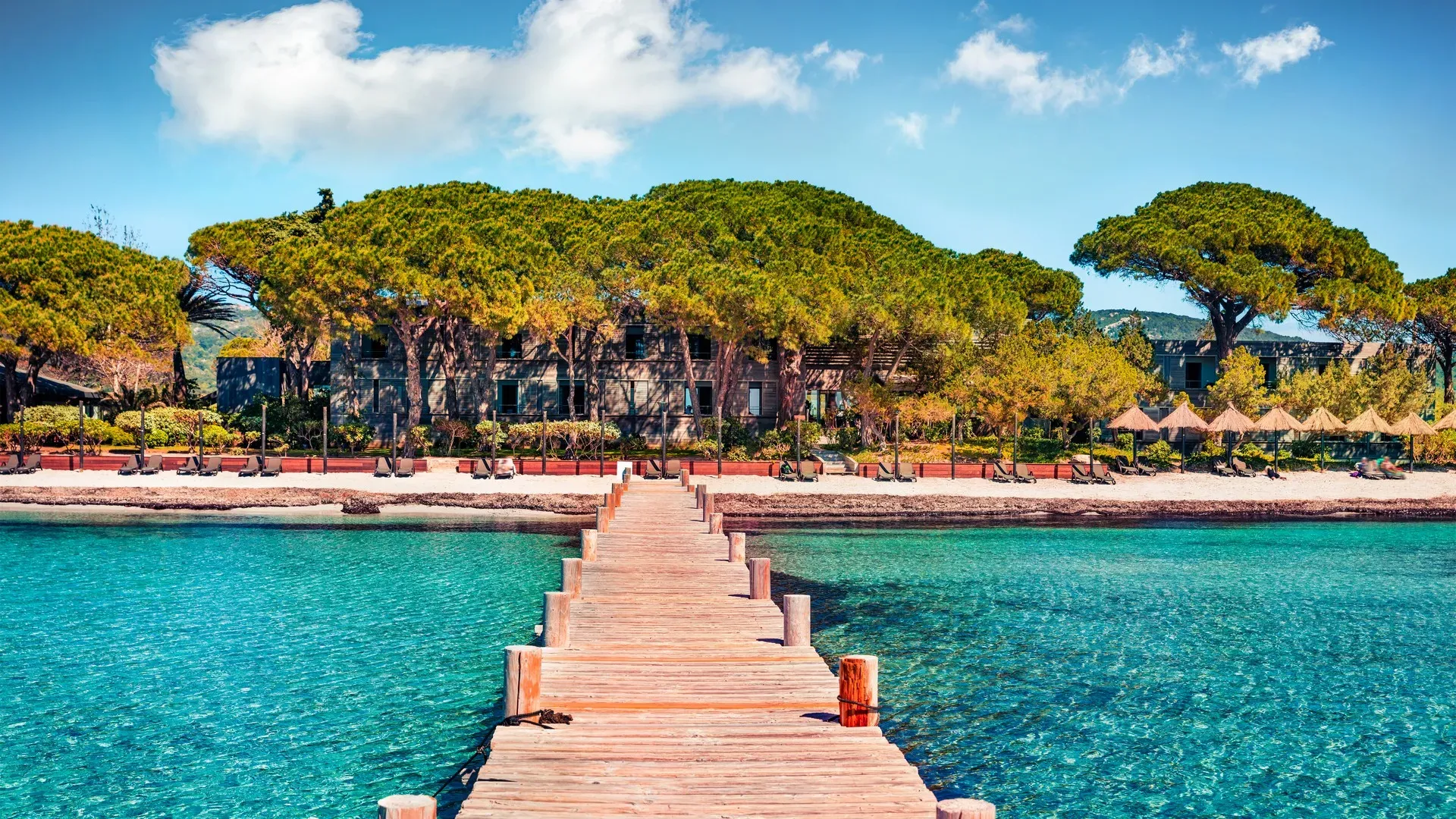 travelgo.gr