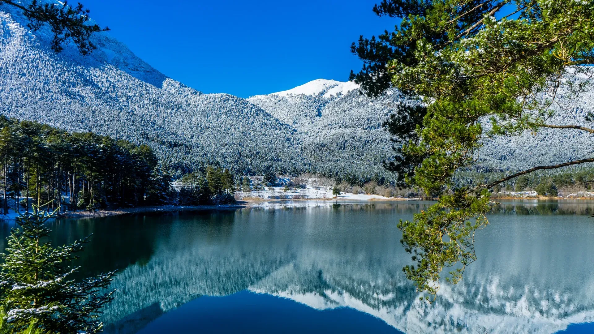 travelgo.gr
