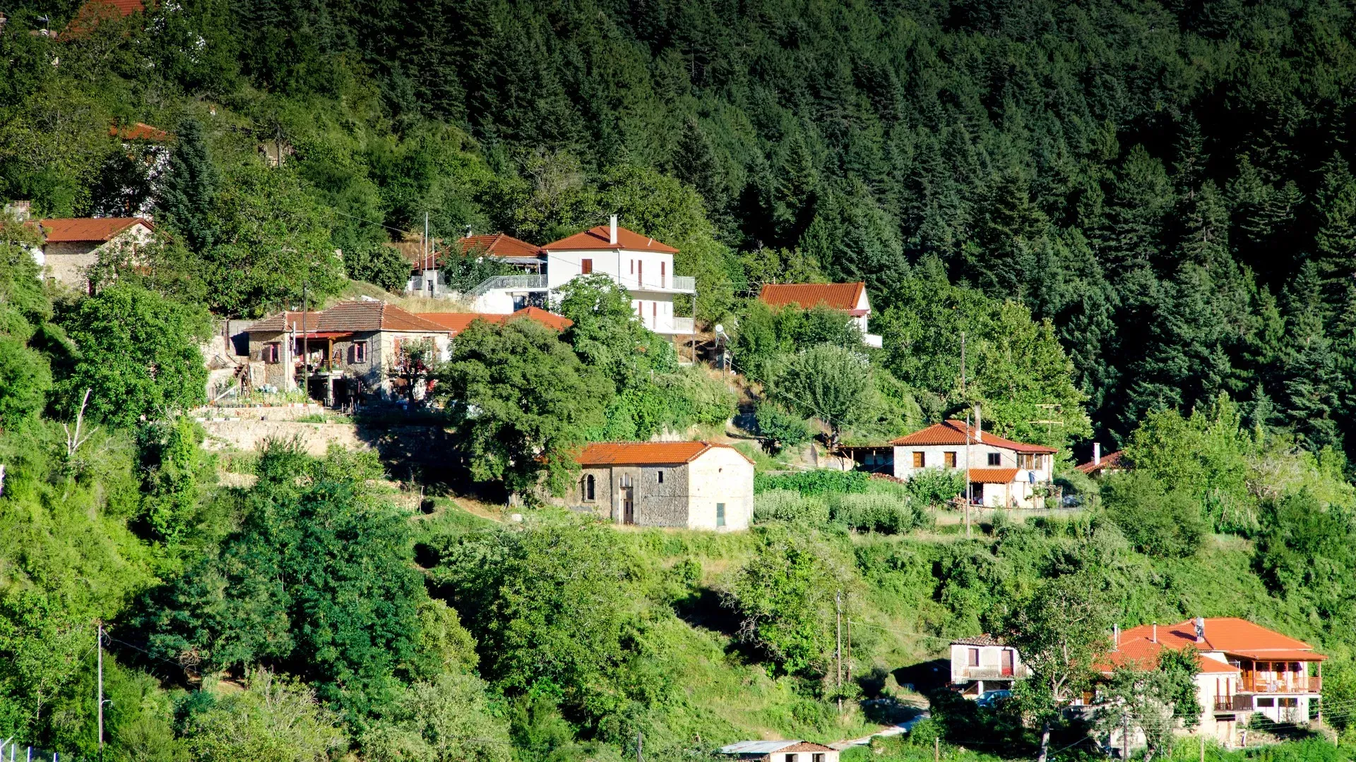 travelgo.gr
