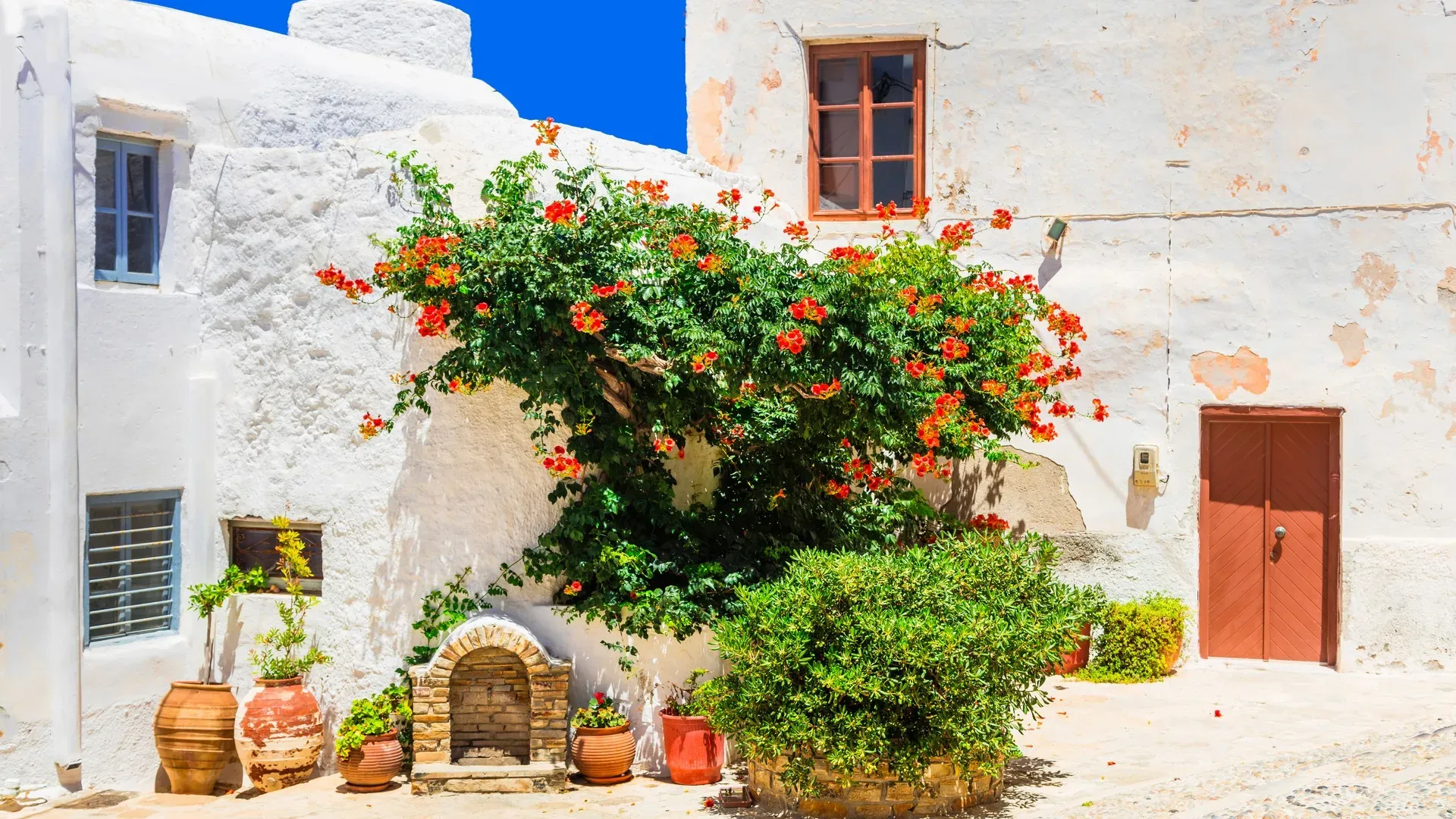 travelgo.gr