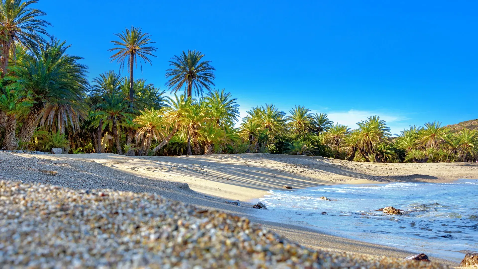 Vai Palm Forest: The tropical corner of eastern Crete