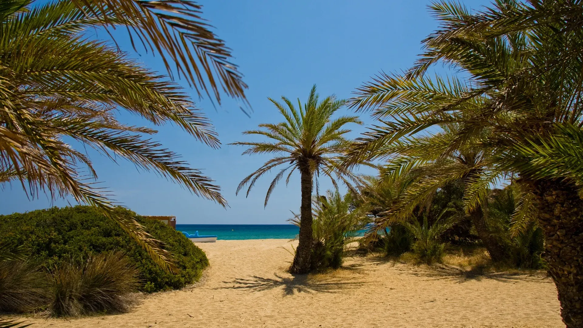 Vai Palm Forest: The tropical corner of eastern Crete