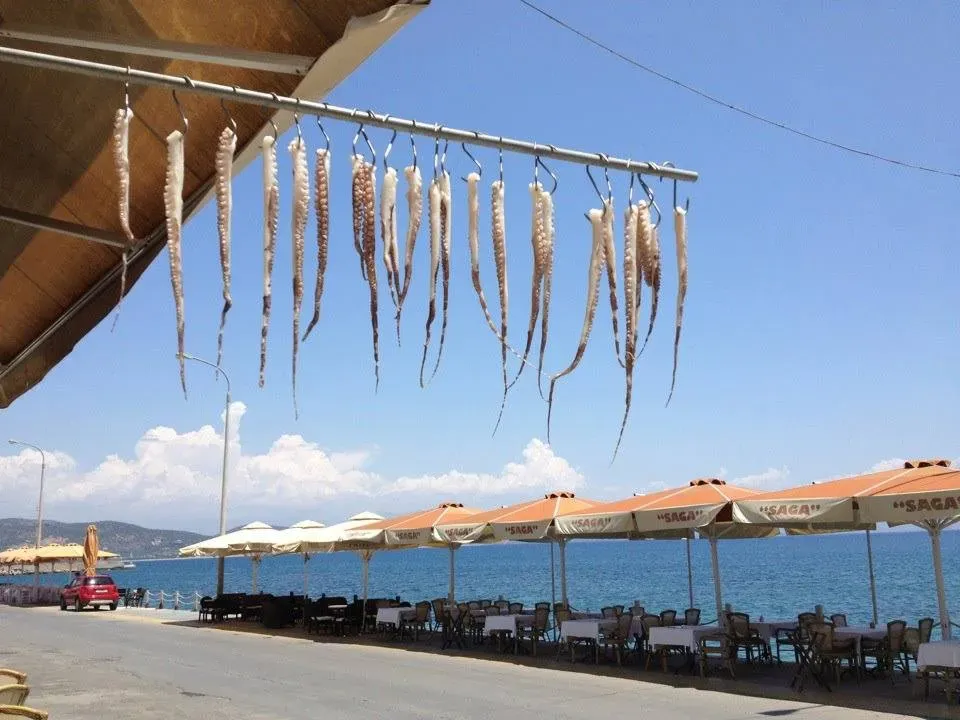 travelgo.gr