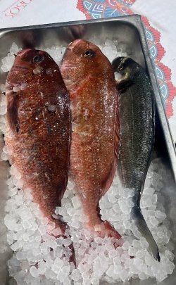 nisos_kea