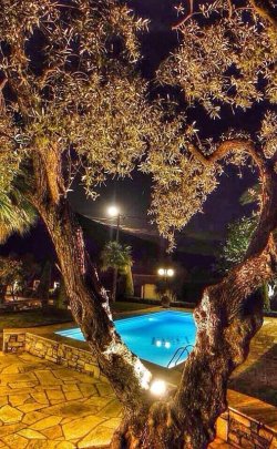 villa olive