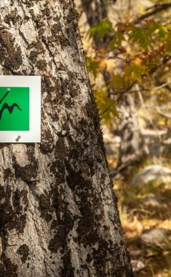 mainalon_trail