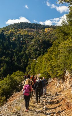mainalon_trail