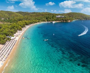Κουκουναριές / Πηγή: Shutterstock