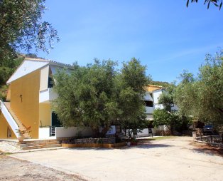 Nikolas Studios