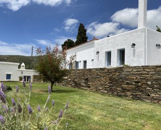 Amarienitas Suites