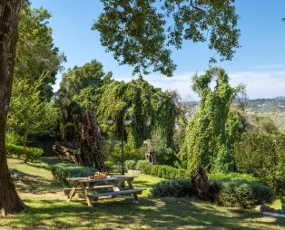 Divani Corfu Palace: Μαγευτικά ηλιοβασιλέματα, άνεση και γαλήνη