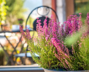 Arachova Mountain Villa: Η θαλπωρή του βουνού συναντά την άνεση στους πρόποδες του Παρνασσού