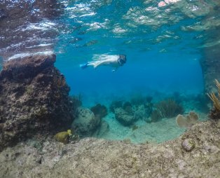 Curaçao: What to see and do on the tiny Caribbean island