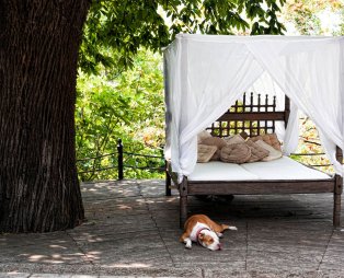 Cascara Escape: Luxurious getaway in Mouresi Pelion