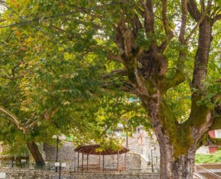 Ξενώνας Χελιδόνα: Διαμονή μέσα στο καταπράσινο τοπίο στο Μικρό Χωριό Καρπενησίου